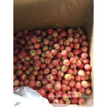 red qinguan apple exporter Fresh Paper Bagged Qinguan Apple China qinguan apple